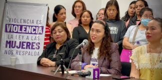 Dip. Ruth Callejas exige registro de Eric Cisneros en Padrón de violentadores de Mujeres