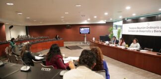 Proponen en Comisión reunirse con titular de Bienestar para analizar sistema de pensiones