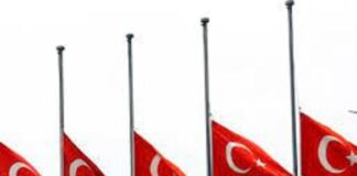 Se declaran 7 días de luto en Turquía y fallecidos superan los 36 mil .