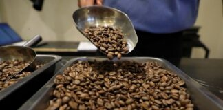 Este fin de semana, “Xalapa, Café y Aroma” en el parque Juárez.