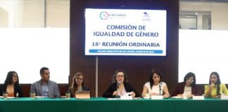 Avala Comisión de diputadas definir en la ley el acoso sexual en espacios públicos.