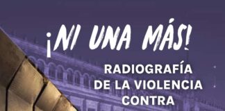 Radiografía de la violencia contra mujeres en México.:OCFN
