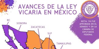 Avanza la ley contra la violencia vicaría en los estados.