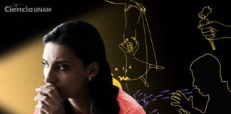 Terrorismo íntimo: violencia psicológica hacia las mujeres .