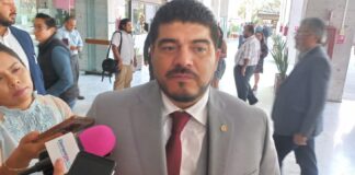 Zenyazen no se descarta por la candidatura a Gobernador en Veracruz.