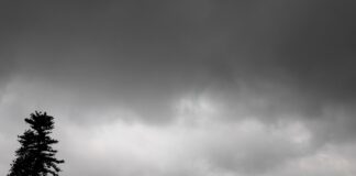 PC Municipal, en alerta por lluvias atípicas #Xalapa