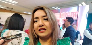 Expediente de Eric Cisneros no se desechó, aclara titular del OPLE Veracruz .