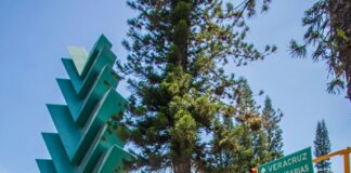 Llama Ayuntamiento de Xalapa a crear frente común por el medio ambiente.