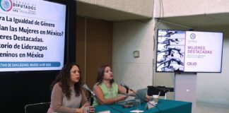 Techo de Cristal del Liderazgo de las mujeres estructurado con discriminación, desigualdad, misóginia, machismo, descalificación del trabajo, acoso sexual, amenazas y persecución.