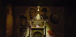 Vive la experiencia del café en Xalapa