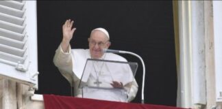 “La guerra es el fracaso de la política”: Papa Francisco