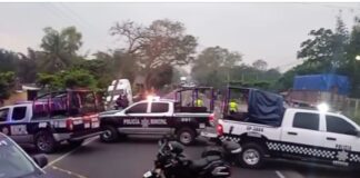 Accidente, no falta de mantenimiento, aclara SSP sobre percance en que murieron policías en Martínez de la Torre