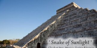 Llegó la Primavera a México .