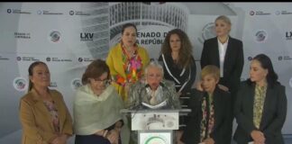 En el Senado aprueban crear un Registro Nacional de deudores Alimentarios