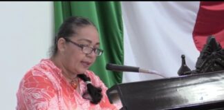 Alma Lizeth estaba embarazada al ser asesinada, revela la diputada Dolores Zubieta Ruíz.