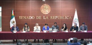 Sólo tienen registro de entre 260 mil y 357 mil mexicanos que dejaron todo por inseguridad, pobreza y desigualdad