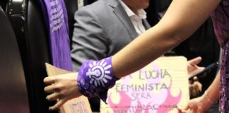 Ningún agresor de mujeres al poder. Cámara de diputados aprueba la “3 de 3” contra violencia de género .