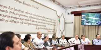 Adquiere Ayuntamiento de Xalapa predio de 6 hectáreas para conservarlo como área natural protegida