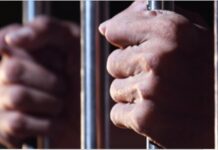 “Prisiones binarias, violencias reales”