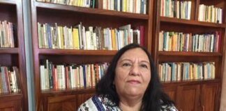 Carmen Nava, pionera en la protección de mujeres víctimas de violencia en México