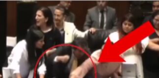 Senadoras condenan las agresiones a mujeres del morenista César Cravioto