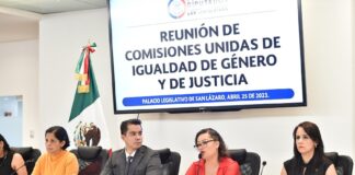 Avalan dictamen en materia de violencia a través de interpósita persona, o violencia vicaria