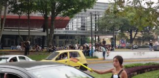 Visibilizan el consumo recreativo de la Cannabis en Xalapa