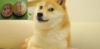 Elon Musk pone un perrito como logo de Twitter y acciones de la cripto Dogecoin se dispara a las nubes.