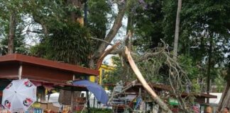 Ocho municipios resultaron con afectaciones por frente frío 49