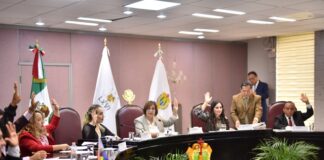 Hará Comisión de Derechos Humanos consulta a personas con discapacidad