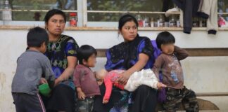 Analizan violencia contra mujeres Tseltales y Tsotsiles que deciden abortar .