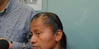 Más de 90 diputados frenan anular derechos de minorías en reforma de Mario Delgado: Irma Juan Carlos