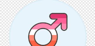 Estados deben promover estrategias integrales para atender la violencia contra las mujeres lesbianas: CIDH