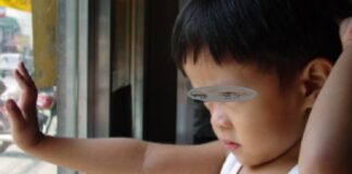 Desmantelar SIPINNA marcaría un retroceso de 30 años en respeto a derechos de Infancia y adolescencia.