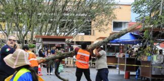 Trabaja Ayuntamiento en afectaciones por viento de norte en el parque Juárez #Xalapa