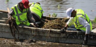 El rescate de la Laguna Lagartos