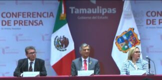 Normal que gobernadores apoyen a Mario Delgado ante posible fallo del TEPJF: Ricardo Monreal