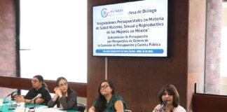 Se asignan pocos recursos a la salud sexual y reproductiva ante la demanda de 35 millones de mujeres.