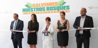 Piden conservar “Bosque de Niebla”, uno de los ecosistemas más amenazados del mundo