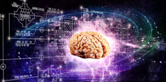 Eliminan el Conacyt al aprobar Ley General en materia de Humanidades, Ciencias, Tecnologías e Innovación.