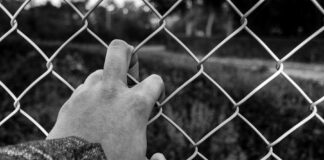 Proponen en el Senado otorgar la CURP a solicitantes de asilo político .