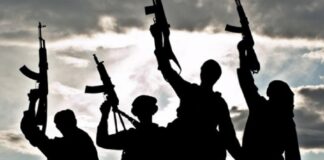 El terrorismo, una amenaza real para la seguridad nacional en México, señala estudio del IBD