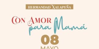 Desde Austria, llega el ARS Electrónica Animation Festival a Xalapa .