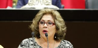 Plantea sancionar a quien manipule, engañe, aísle o maltrate a personas adultas mayores .