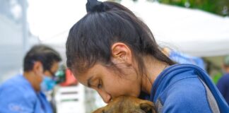 Realiza Ayuntamiento jornada de esterilización canina y felina en la colonia Zaragoza #Xalapa