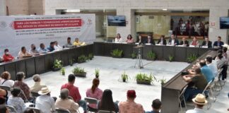 Realiza Congreso local consultas a pueblos afromexicanos .