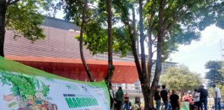 Mariguana legal para todo pugna movimiento cannabico en Xalapa.