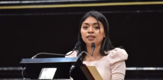 Evitar uso de pirotecnia en el estado, propone Diputada