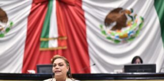 Propone Diputada que Congreso realice foros en materia de seguridad pública .