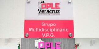 OPLE Veracruz presenta Grupo Multidisciplinario para atender casos de Violencia Política en Razón de Género.